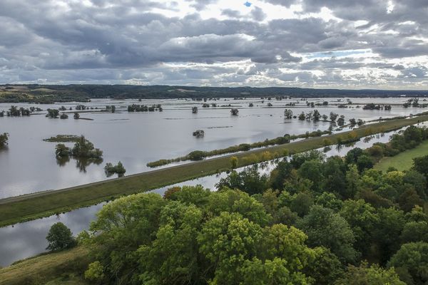 Im Vordergrund, die Hohensaaten-Friedrichsthaler-Wasserstraße, im Hintergrund der Nasspolder bei Zützen während des Hochwassers im Oktober 2024.