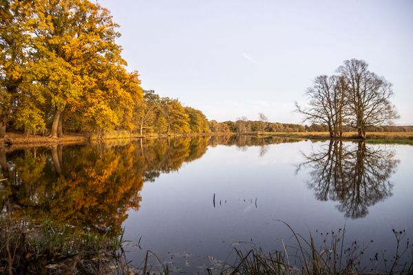 Einer der zahlreichen Altwasserarme im Nationalpark, hier die Miglitze im Herbst 2024.